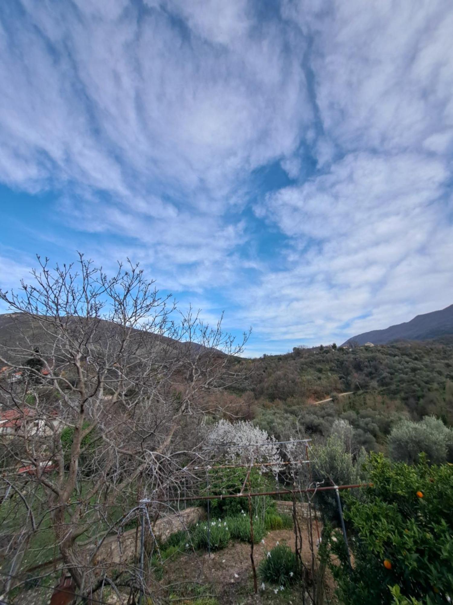Patara's Séjour chez l'habitant Saranda